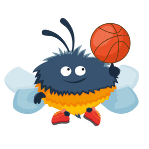 Basketballhummel